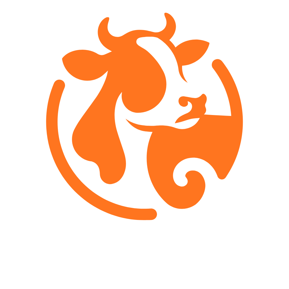 Kasur Dairies